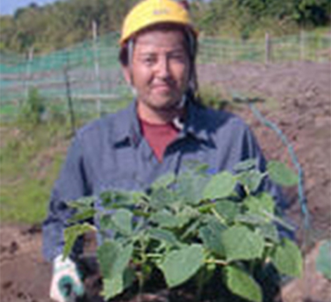 植樹のようす