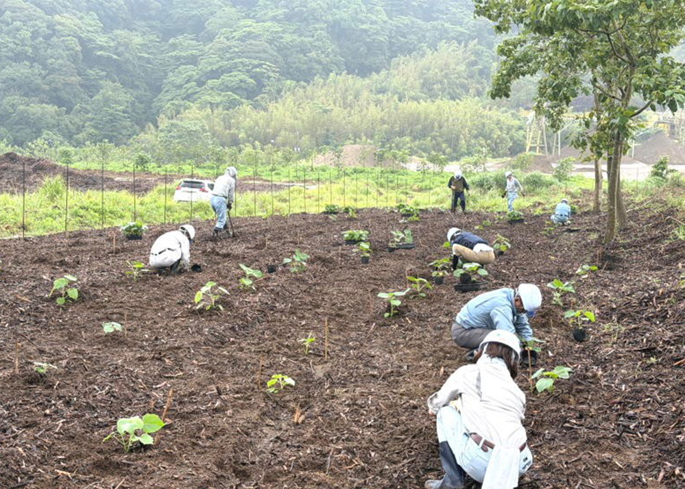 小雨がぱらつく中、協力して植付作業を行っています。